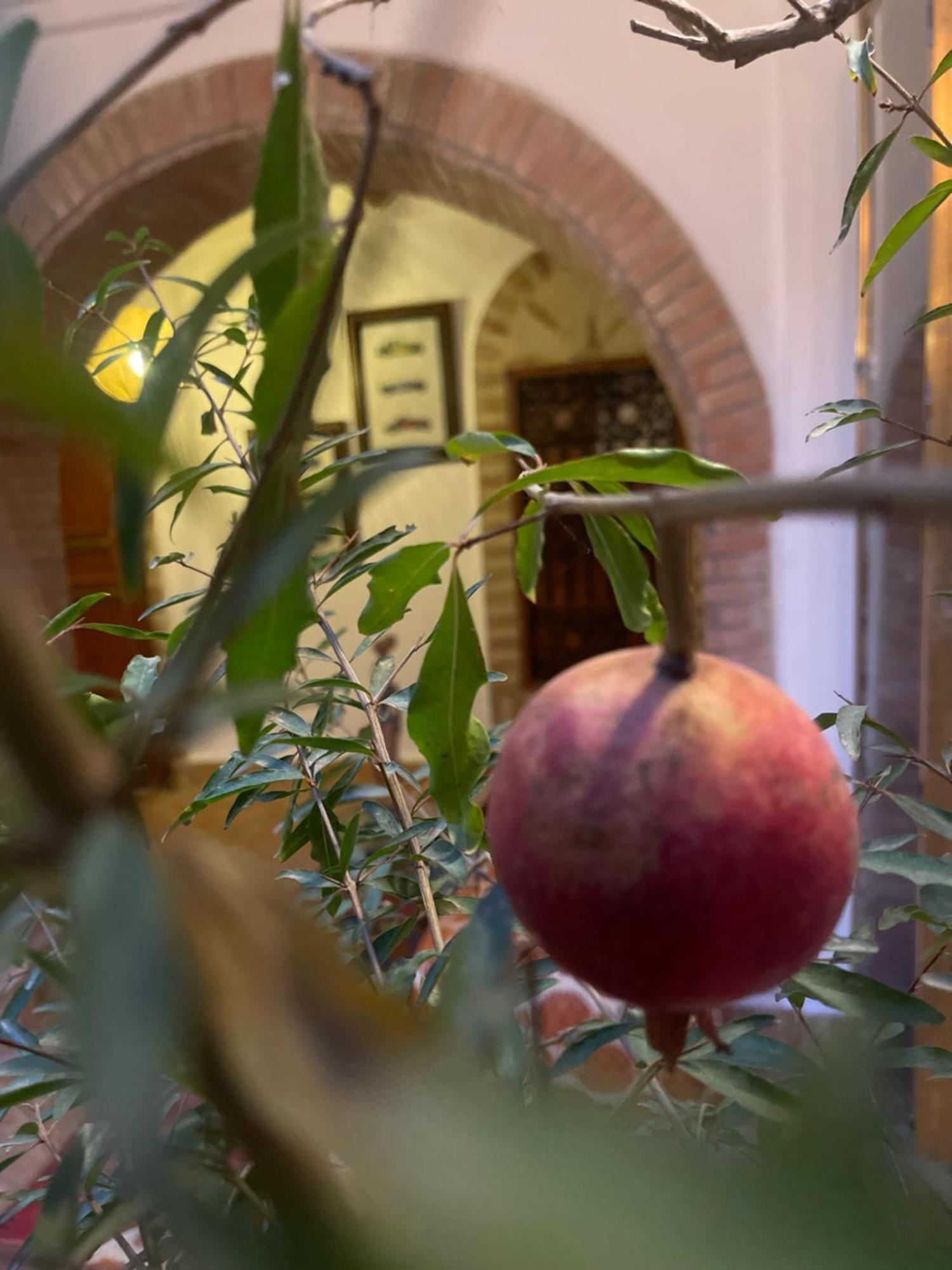 La Maison Berber Shams Marrákes Kültér fotó